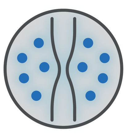 Eosinophilic Esophagitis (EoE)