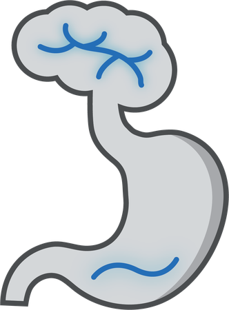 Functional Dyspepsia